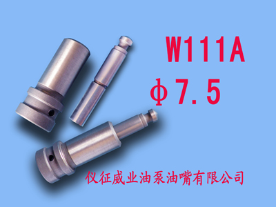 柱塞偶件w111a