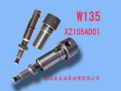 柱塞偶件w135