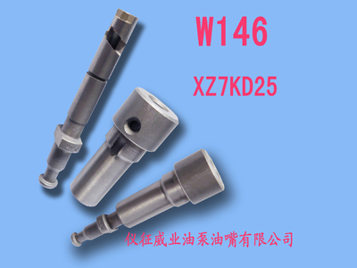 柱塞偶件w146