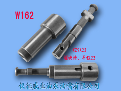 柱塞偶件w162