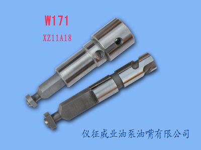 柱塞偶件w171