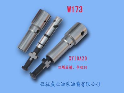 柱塞偶件w173
