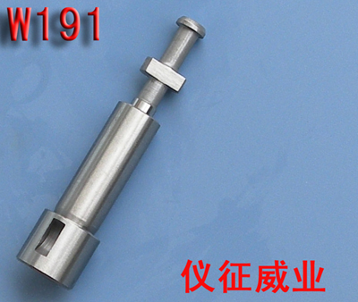 柱塞偶件w191