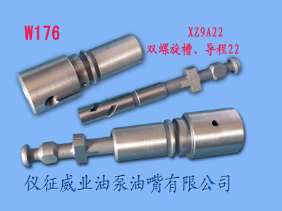 柱塞偶件w1761